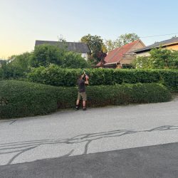 heckenschneiden-firma-service