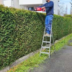 heckenschnitt-firma-privat