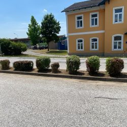 heckenschnitt-firma-steiermark